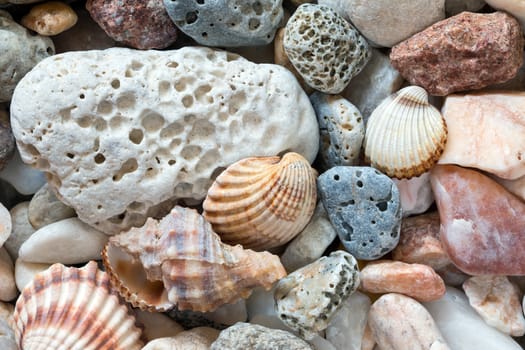 Detail of the various sea pebbles on the beach with shells