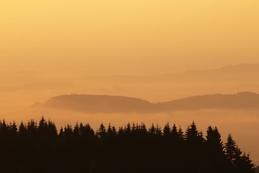 Image of the forested hills in early morning mist