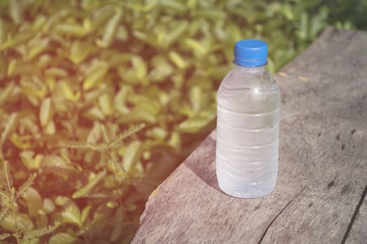 Water bottle on wood table with nature background. Fresh and energy concept.