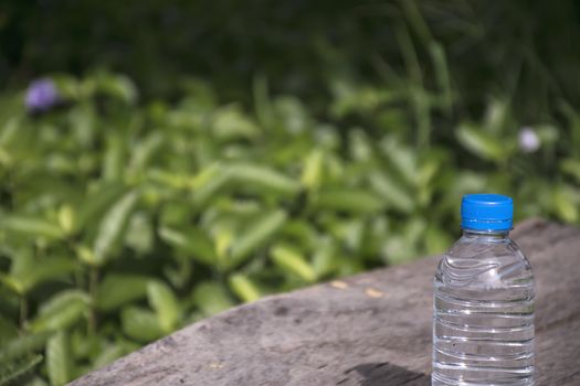 Water bottle on wood table with nature background. Fresh and energy concept.