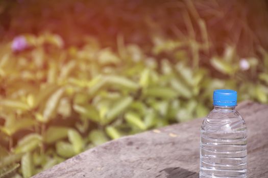 Water bottle on wood table with nature background. Fresh and energy concept.