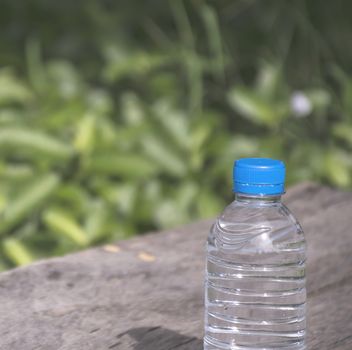 Water bottle on wood table with nature background. Fresh and energy concept.