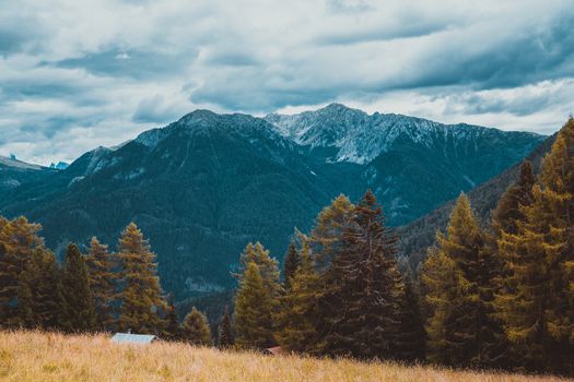 landscape of the Alps in Italy summer