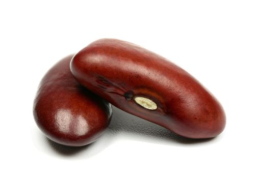 Closeup of red kidney bean on white background