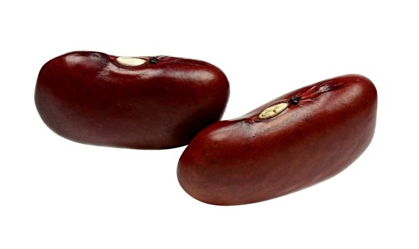 Closeup of red kidney bean isolated on white background with clipping path