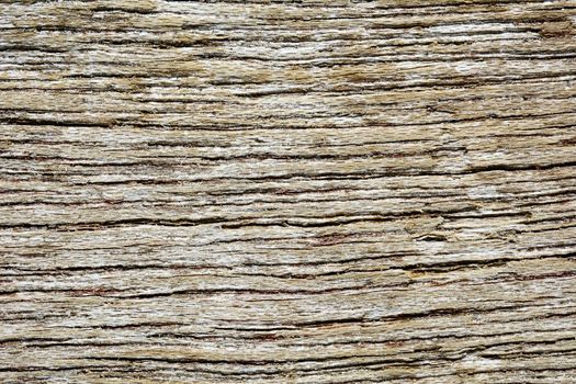 Old wooden texture abstract background