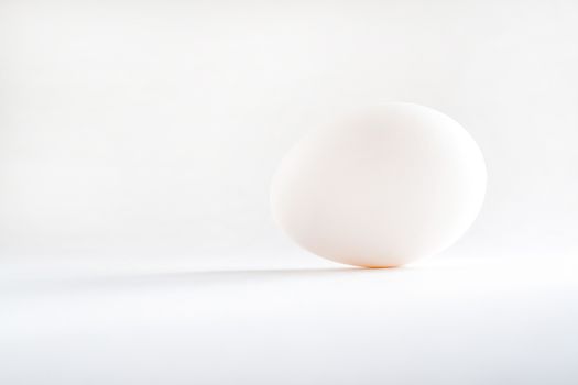 one white egg isolated white background.