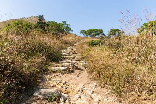 Country road in mountain forest