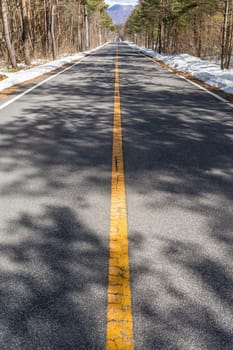 Snowy winter road