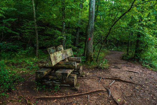 This hiking trail features naturally made benches for resting during your hike