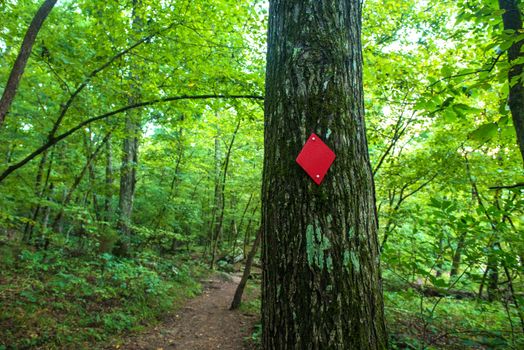 Red Diamond Trail marker for hikers in forest