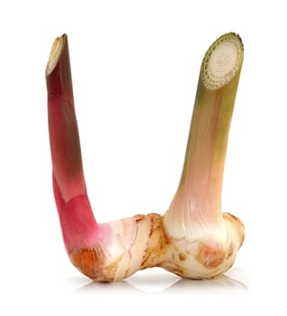 Fresh galangal on a white background