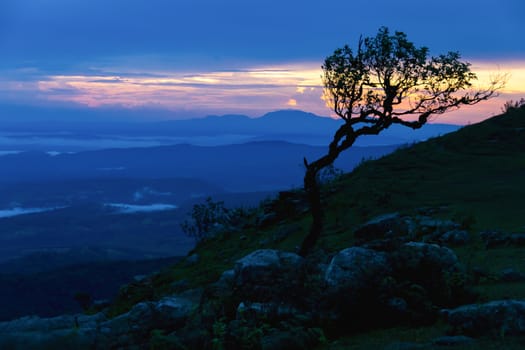 Sunset with silhouette tree on high mountain