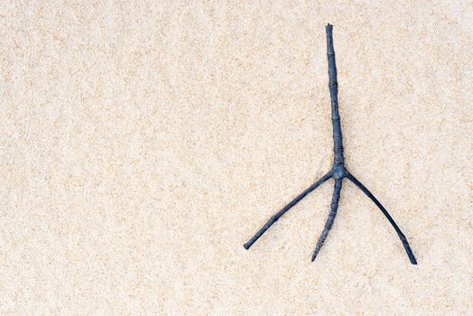 Twig on sand, look like Eiffel Tower