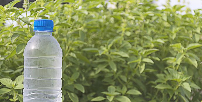 Water bottle on concrete floor with nature background. refresh and recover energy concept.