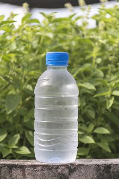 Water bottle on concrete floor with nature background. refresh and recover energy concept.