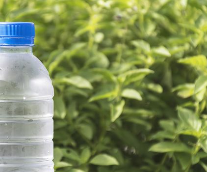 Water bottle on concrete floor with nature background. refresh and recover energy concept.