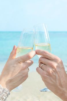 Wine toasting, sea sand sky background