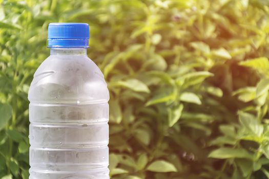 Water bottle on concrete floor with nature background. refresh and recover energy concept.