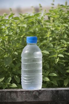 Water bottle on concrete floor with nature background. refresh and recover energy concept.