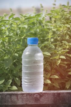 Water bottle on concrete floor with nature background. refresh and recover energy concept.