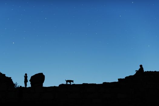 Blue starry sky and men with dog