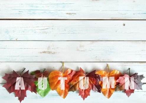 Autumn maple leaves over a wooden background with space