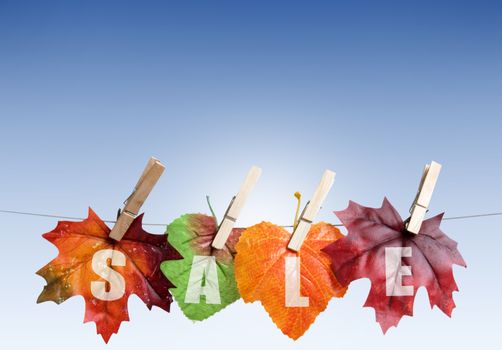 Autumn sales leaves hanging on a clothes line with background space 