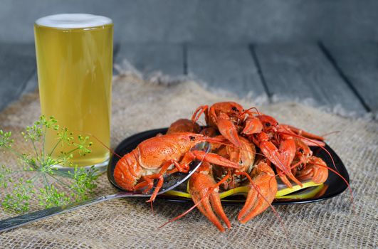 Boiled crawfish with lemon, dill and a light beer. On burlap and blue-grey wooden background.