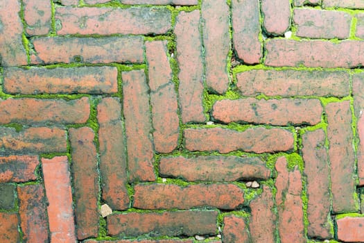 Old bricks are arranged into beautiful patterns. Interfere with green moss.