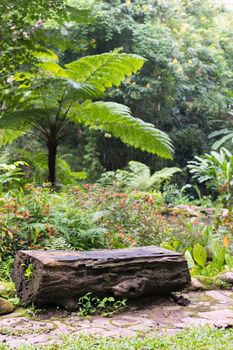 Log / Timber chair in green garden.