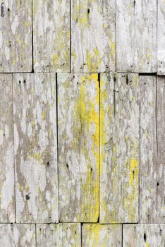 The old wooden background with moss. Vertical.