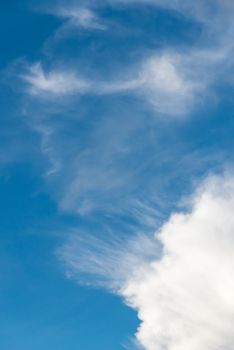 Beautiful blue sky with white fluffy cloud
