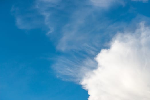 Beautiful blue sky with white fluffy cloud.