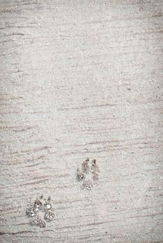 Dog foot print, this image have space for text. Vertical.