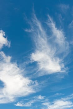 beautiful blue sky with white cloud