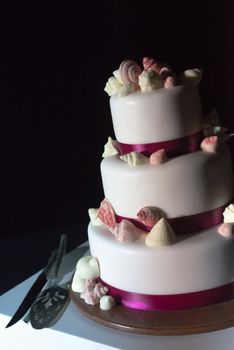The white wedding cake, decorated with the violet soil and sugar shells. Selective focus.