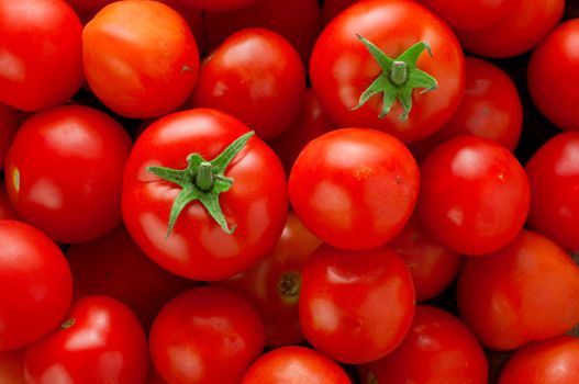 red tomatoes background. Group of tomatoes