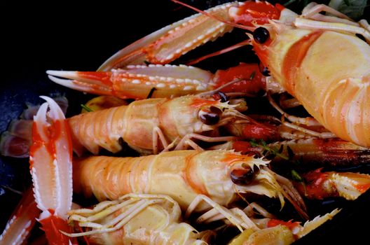 Delicious Roasted Langoustines with Thyme and Rosemary closeup in Frying Pan. Focus on Animal Eyes