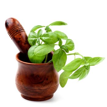 Fresh Green Basil Leafs and Stems in Wooden Mortar with Pestle isolated on White background