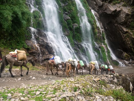 Small waterfalls in the himalayan valley mountains