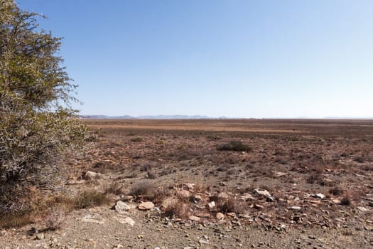 Mountain Zebra National Park is a national park in the Eastern Cape province of South Africa proclaimed in July 1937 for the purpose of providing a nature reserve for the endangered Cape mountain zebra.