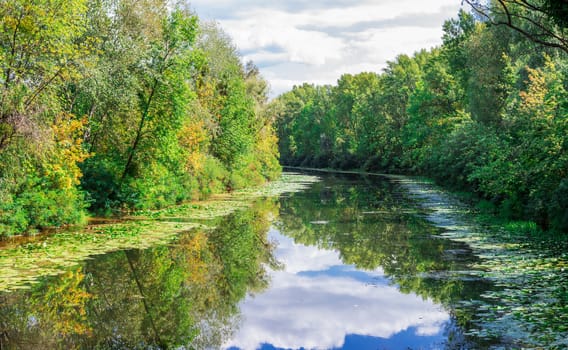 Sunny landscape of river, greenwood forest, and cloudy sky reflected in water