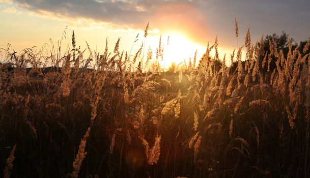 sunset with clouds over field at autumn