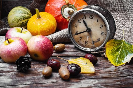 Old retro clock,pumpkin and chestnuts in rural style