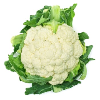 One fresh cauliflower isolated on white background