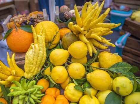 Pile of different citrus fruits, from oranges, lemons, mandarins and the strange shaped fingered citron (citrus medica scientific called). Picture taken at a market in Paris, France