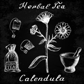 Calendula hand drawn sketch botanical illustration. Utensils for tea. Vector illustation. Medical herbs. Effect of chalk board. Grunge background