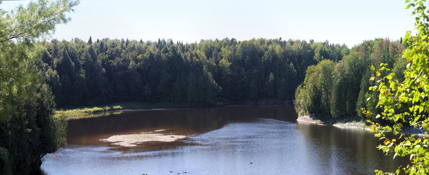 river landscape panorama view beach sunshine summer green trees