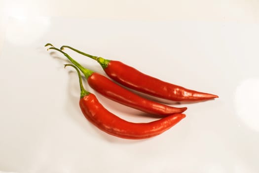 Three red hot chili pepper in a white background